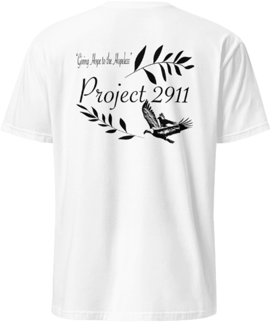 Project 2911 “Mission Tee”