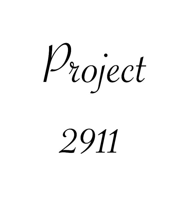 PROJECT 2911